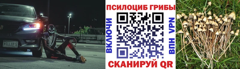 Псилоцибиновые грибы GOLDEN TEACHER Княгинино